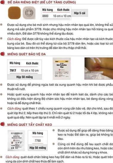 De tui hau mon nhan tao Hollister (2)